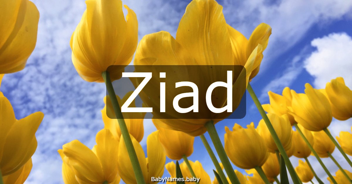 Ziad
