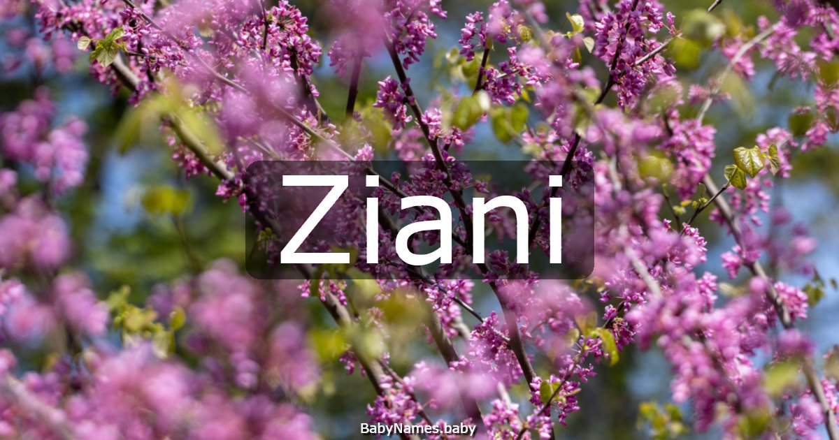 Ziani