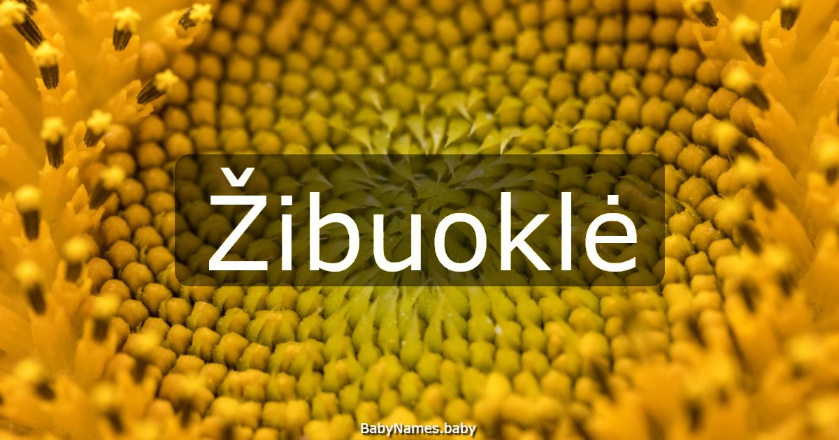 Žibuoklė