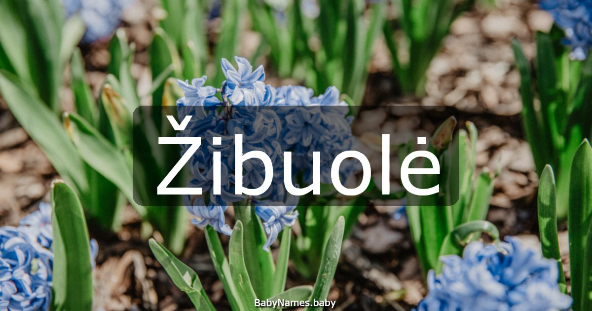 Žibuolė