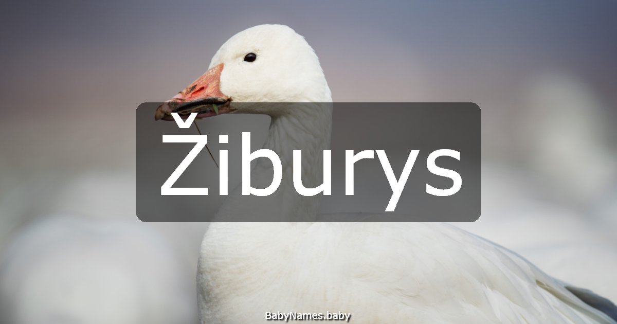 Žiburys