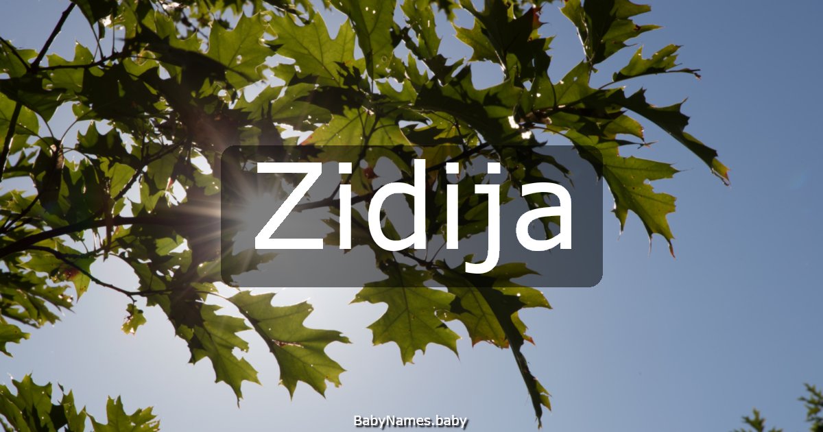 Zidija