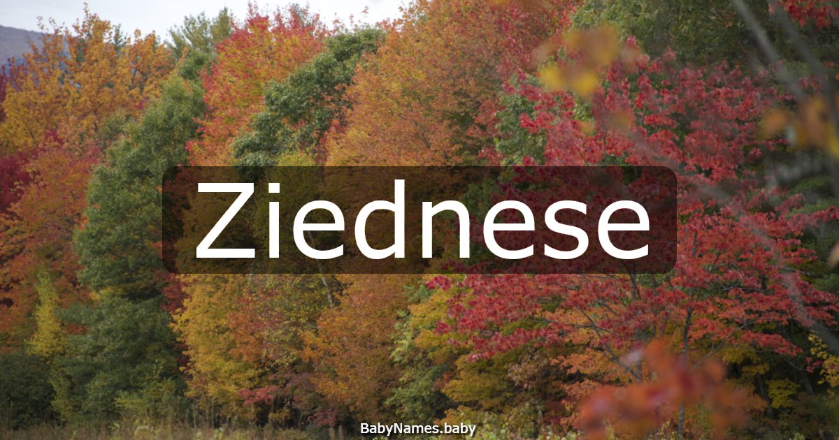 Ziednese
