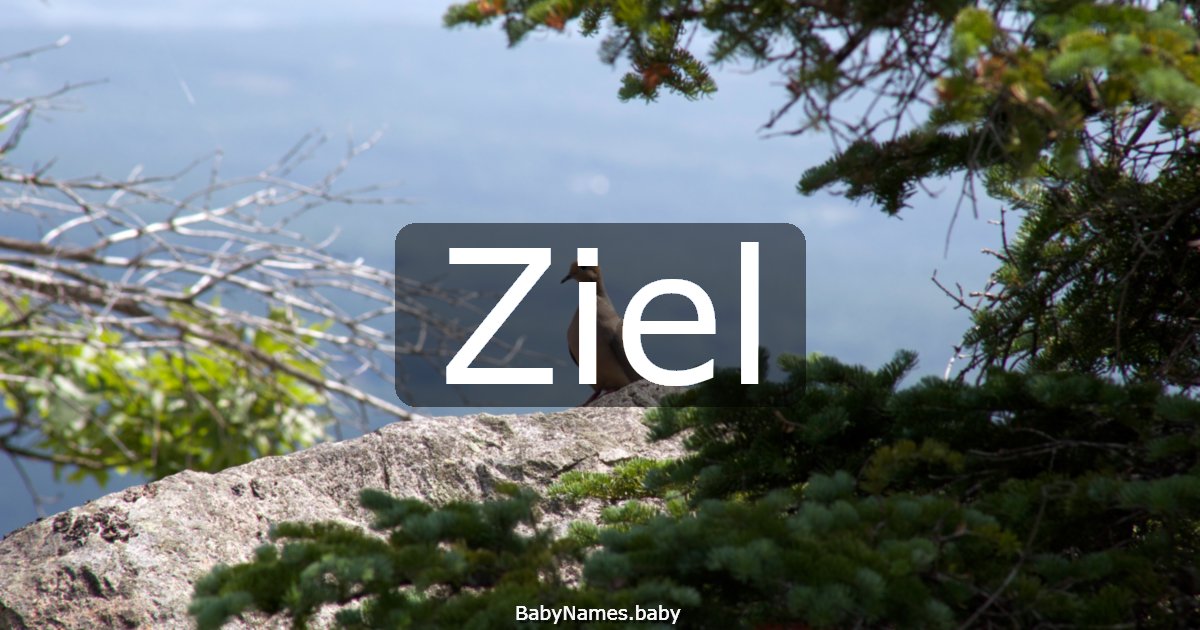 Ziel