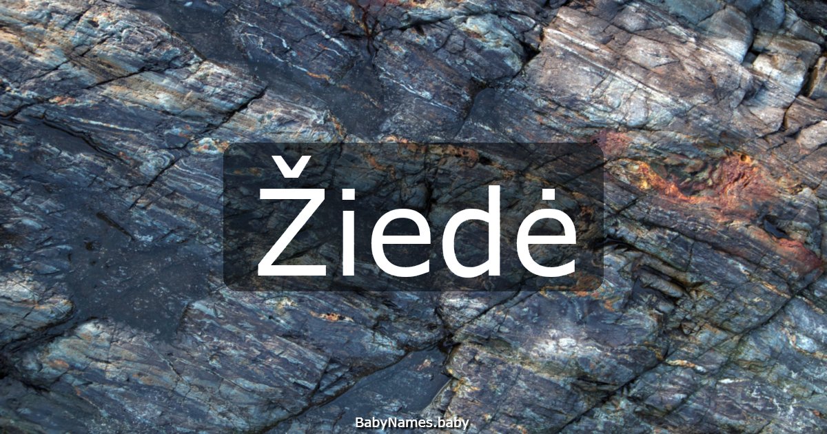 Žiedė
