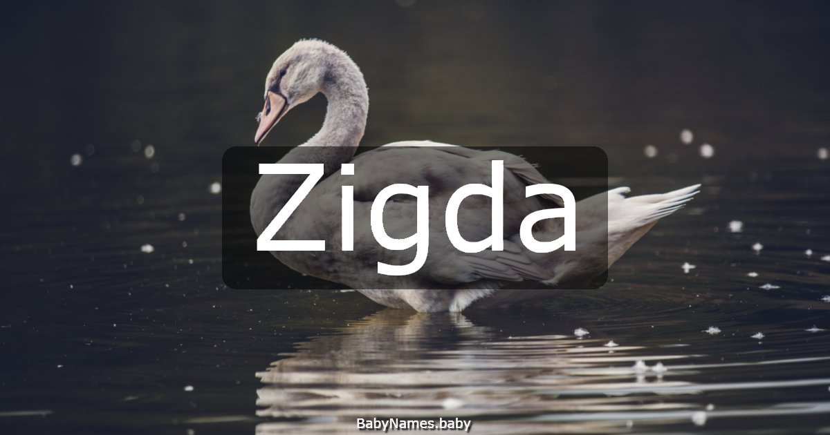 Zigda
