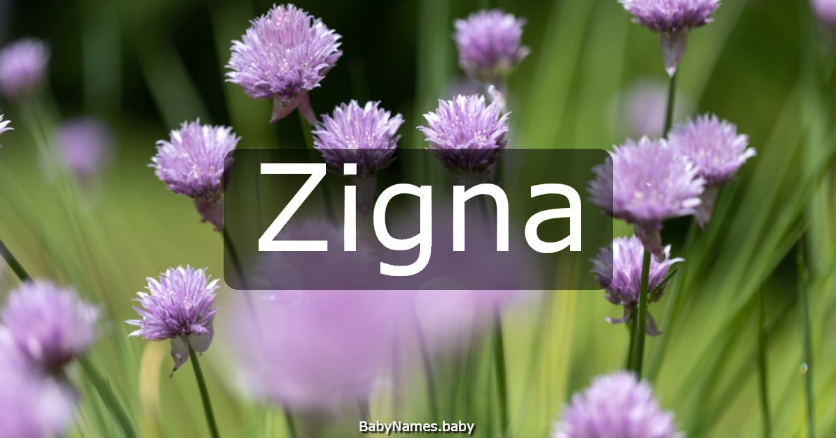 Zigna