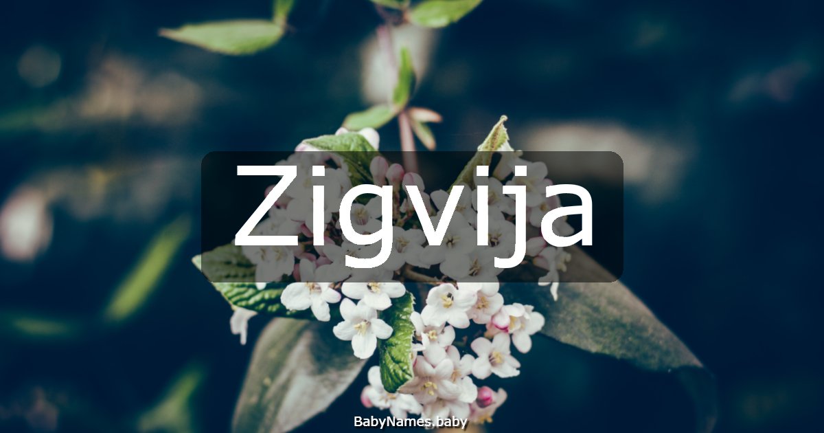 Zigvija