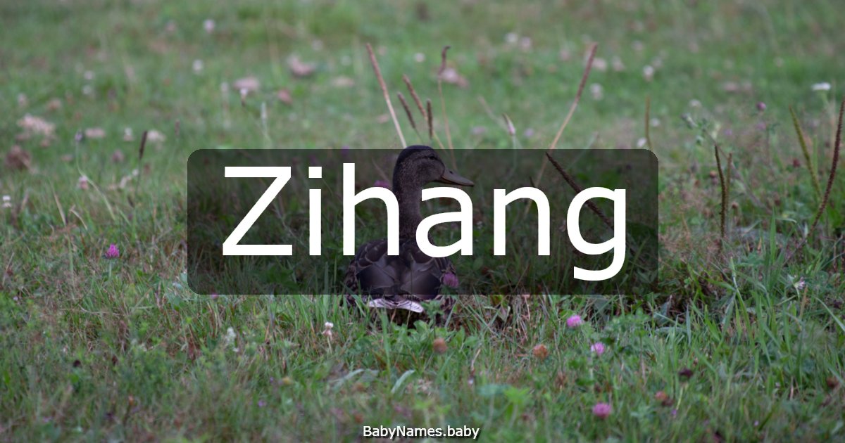 Zihang