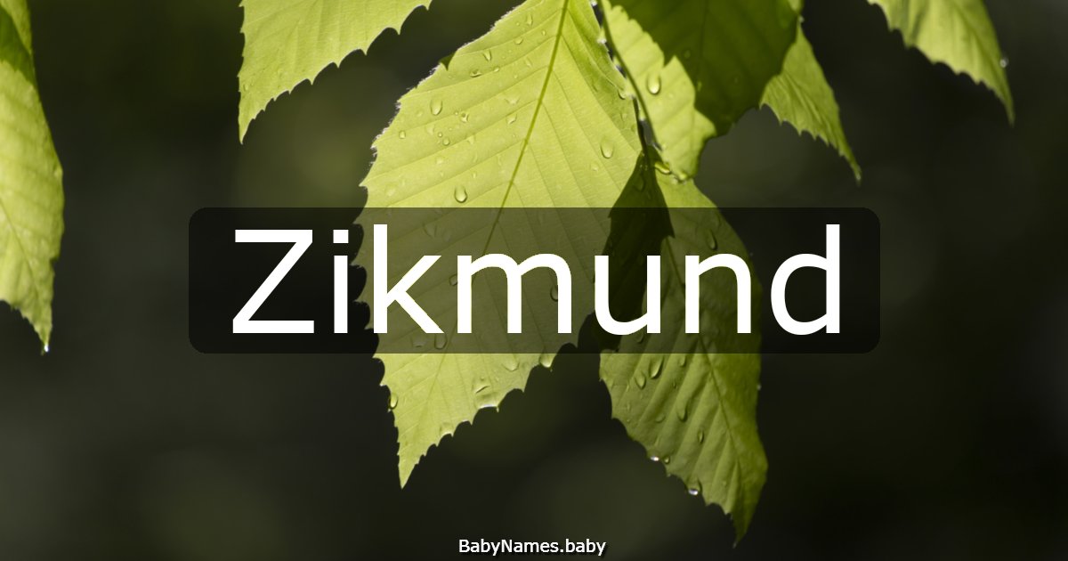 Zikmund