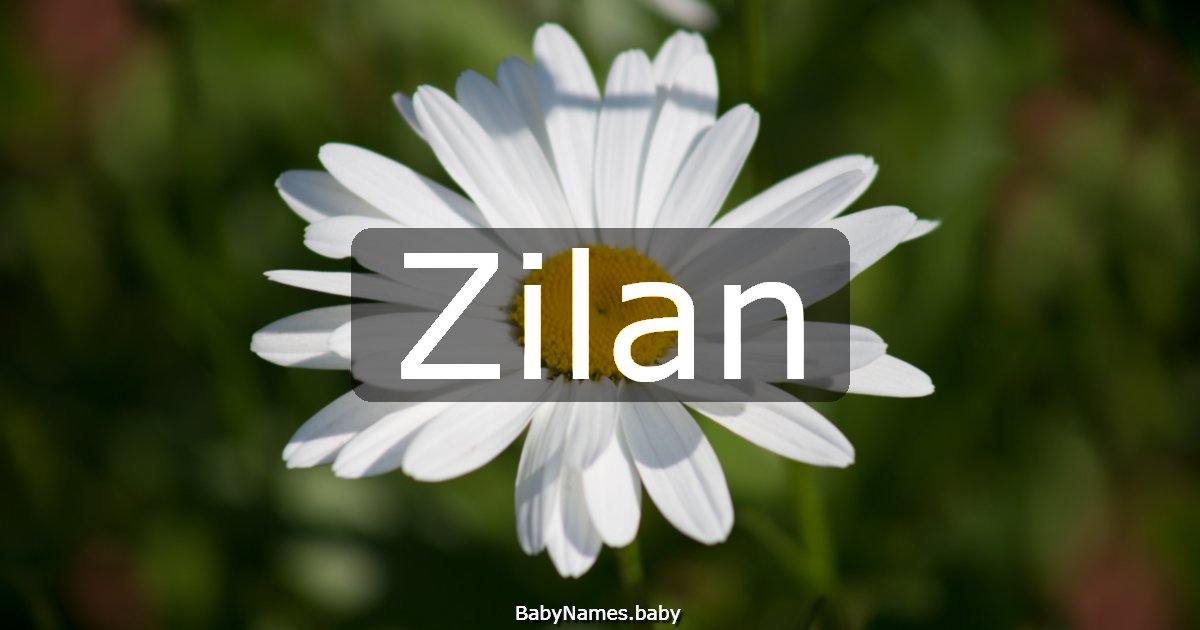 Zilan