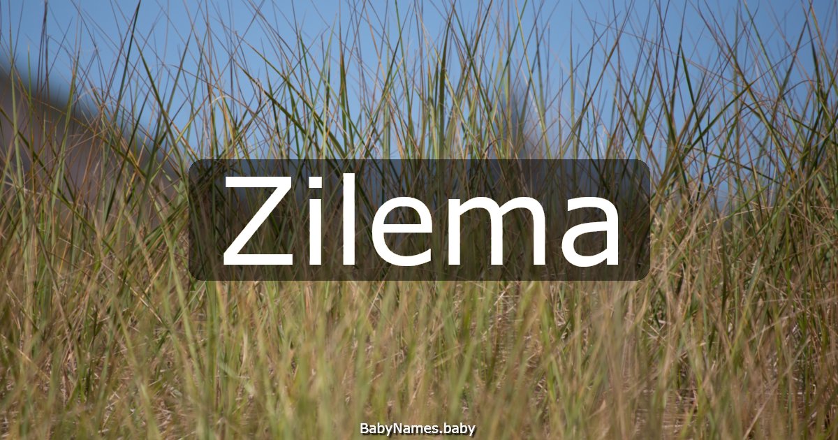 Zilema