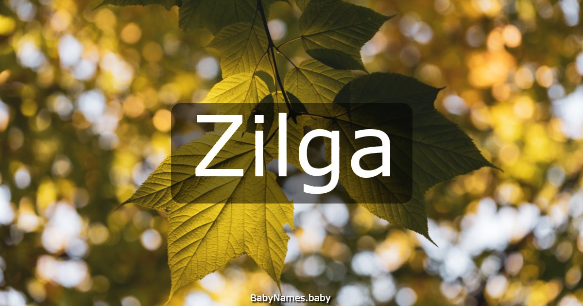 Zilga