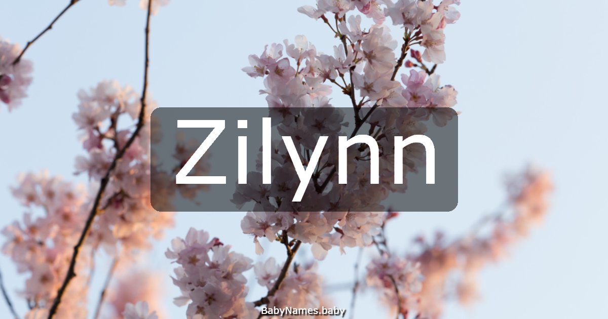 Zilynn