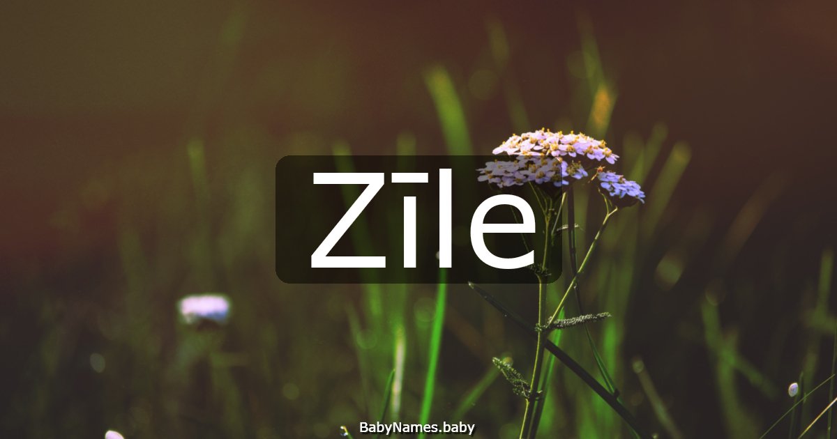 Zīle