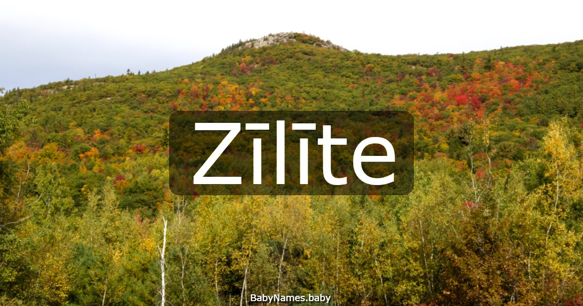 Zīlīte