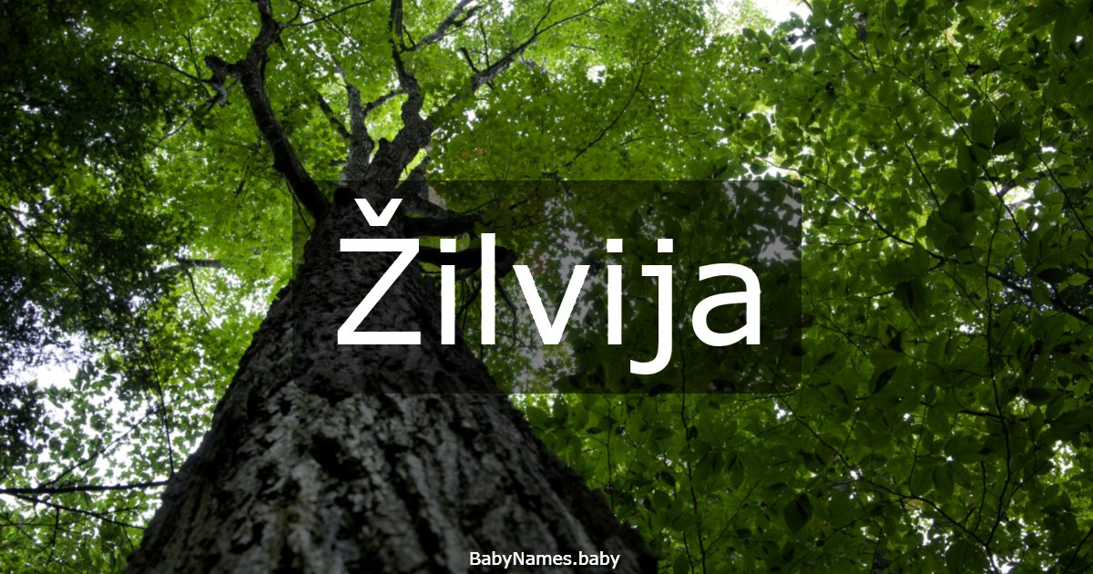 Žilvija