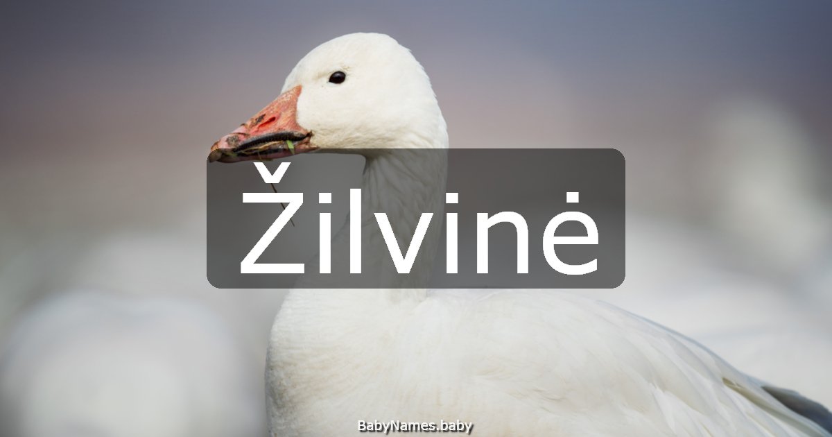 Žilvinė
