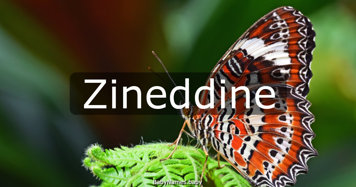Zineddine
