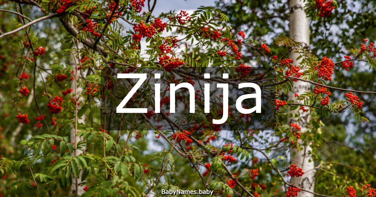 Zinija