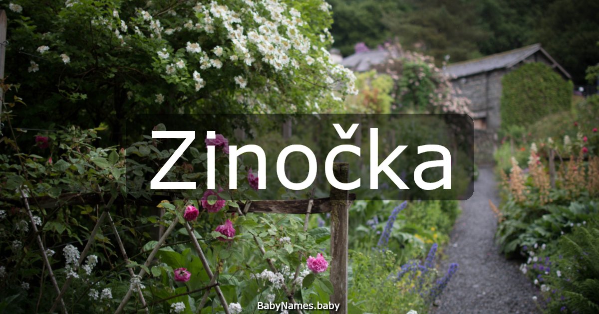 Zinočka