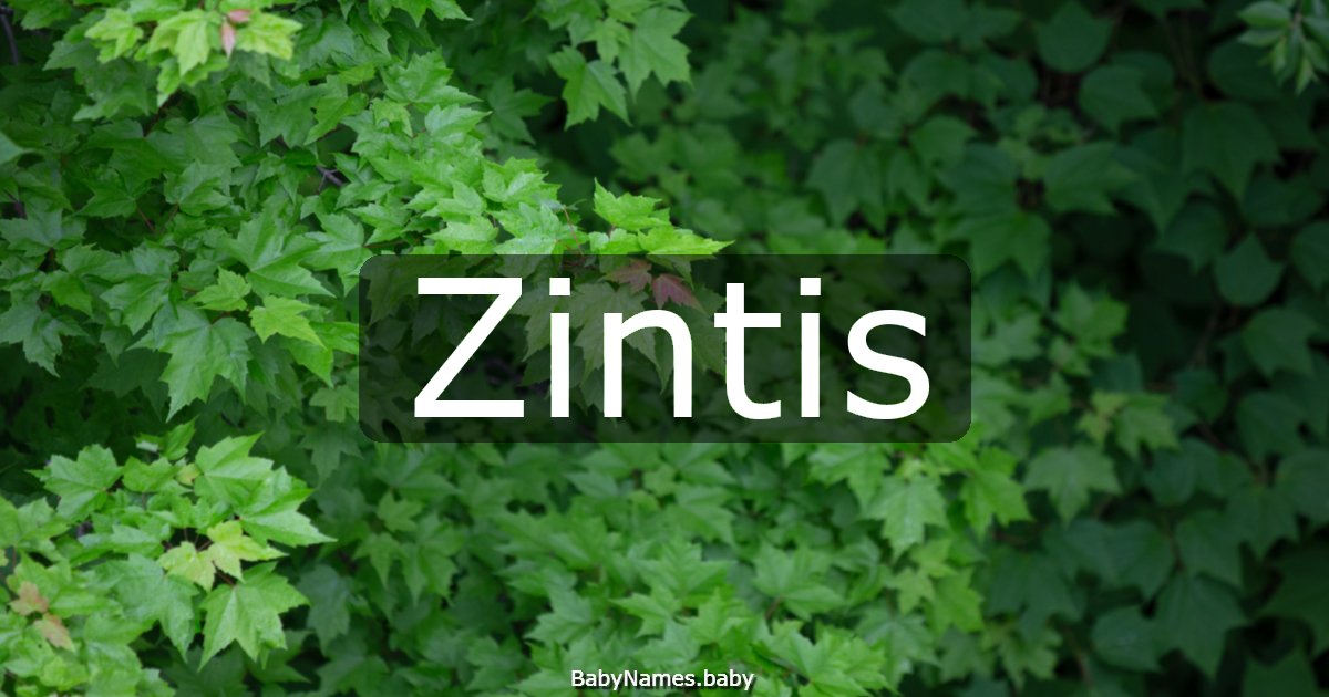 Zintis