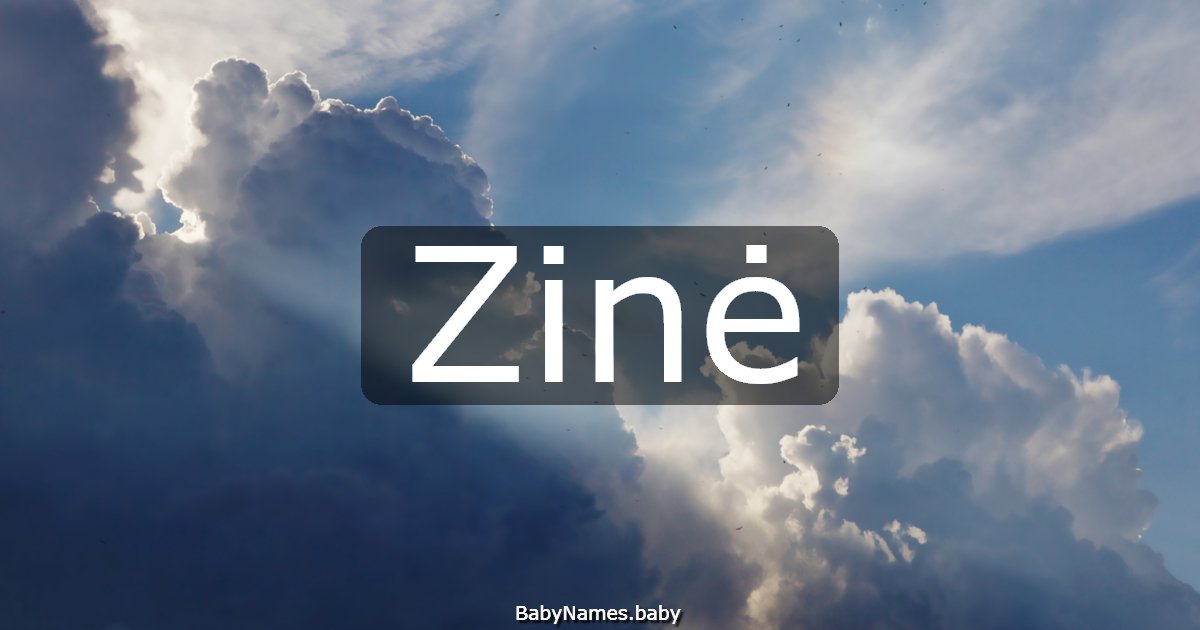 Zinė