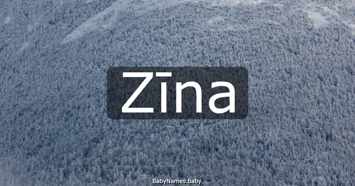 Zīna