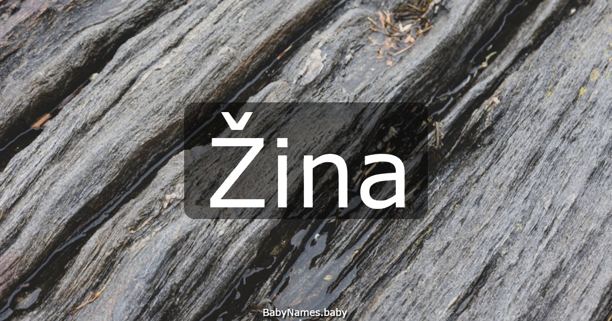 Žina