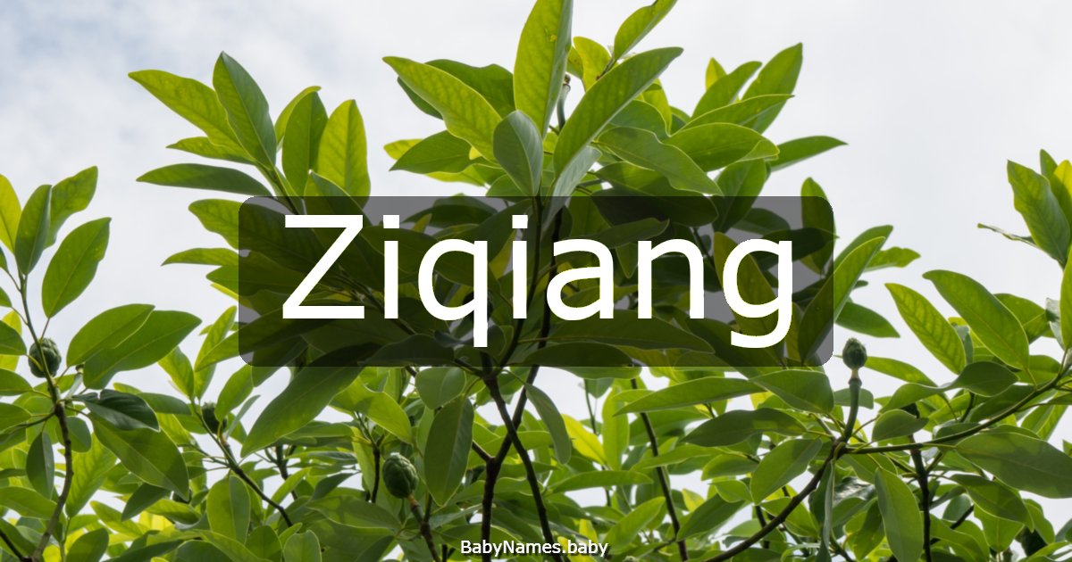 Ziqiang