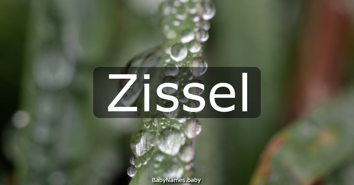 Zissel
