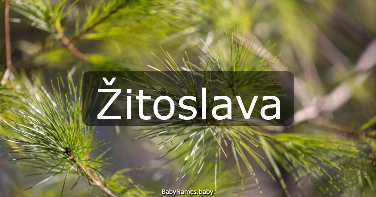 Žitoslava