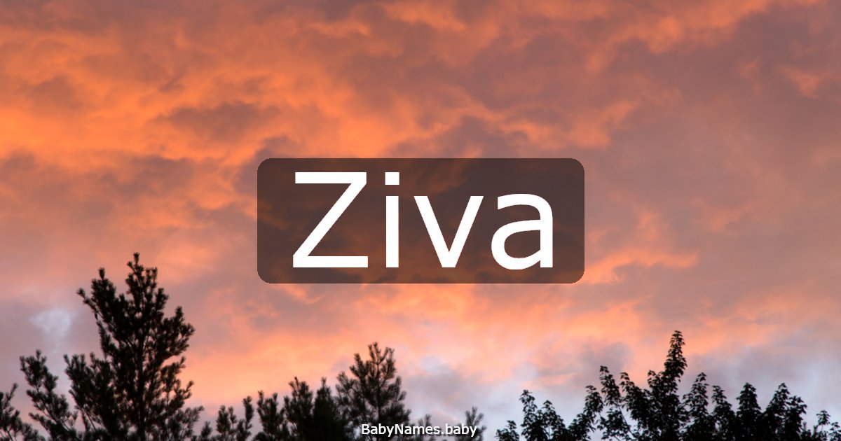 Ziva