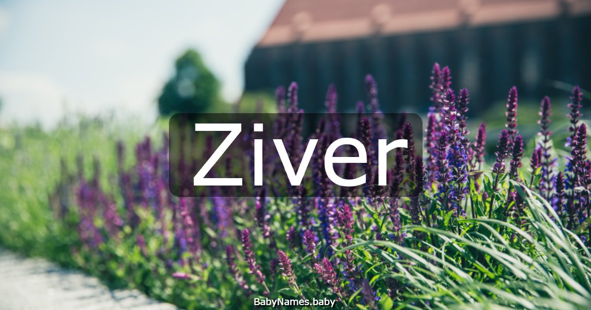 Ziver