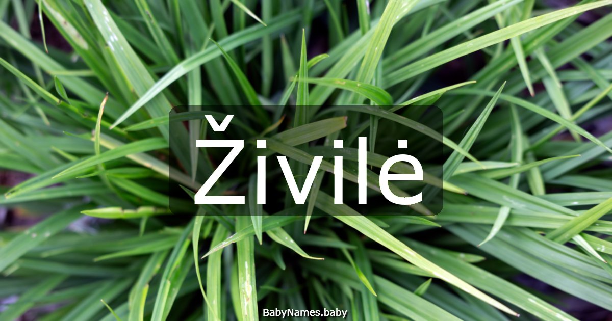 Živilė