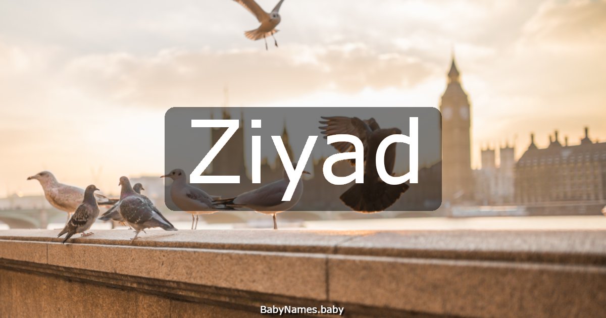 Ziyad