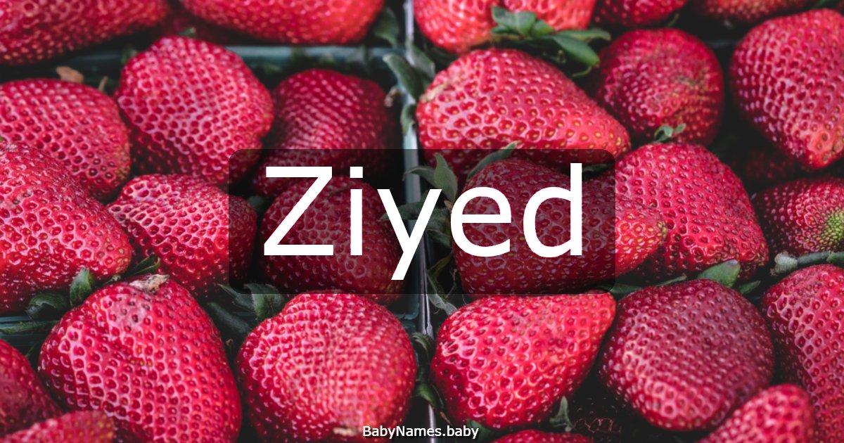 Ziyed