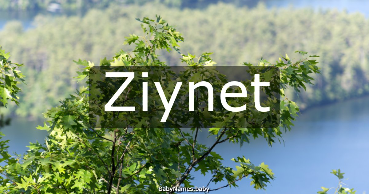 Ziynet