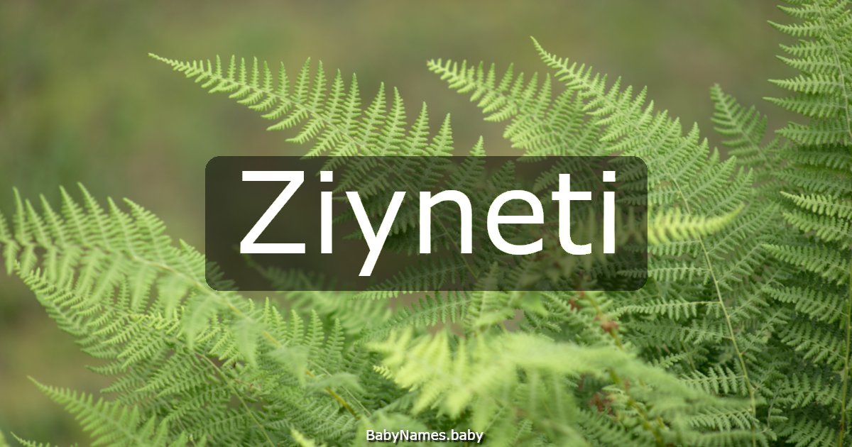 Ziyneti
