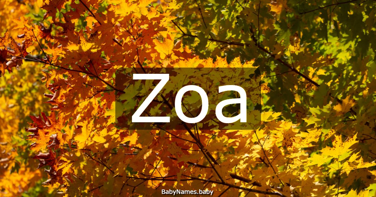Zoa