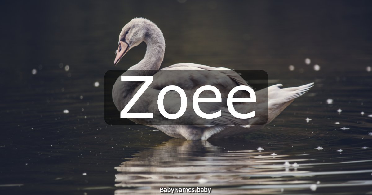 Zoee