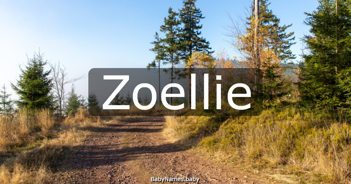 Zoellie