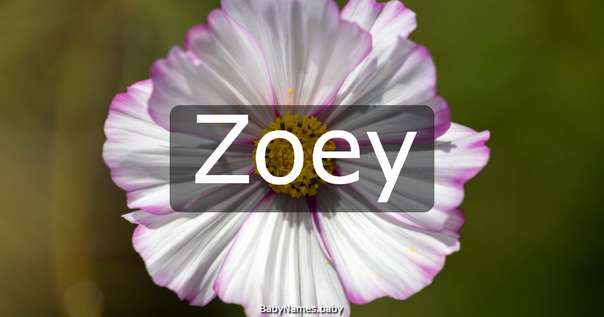 Zoey