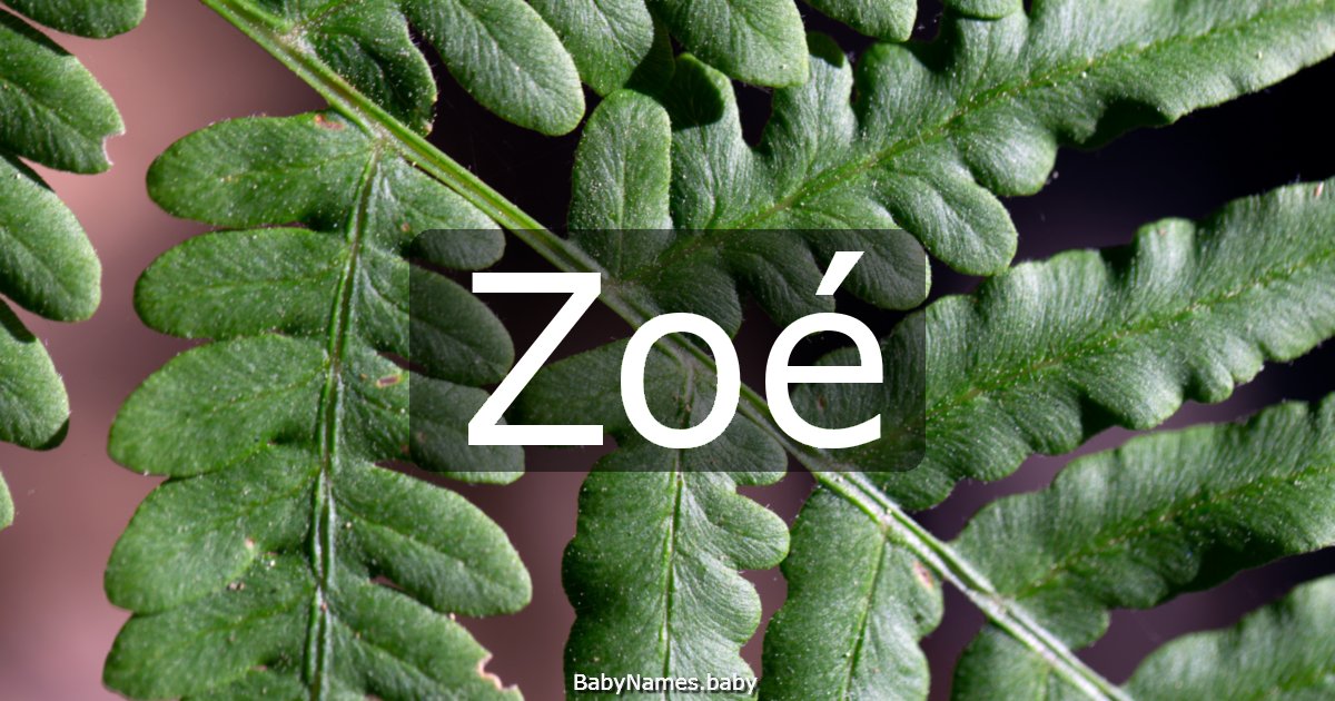 Zoé