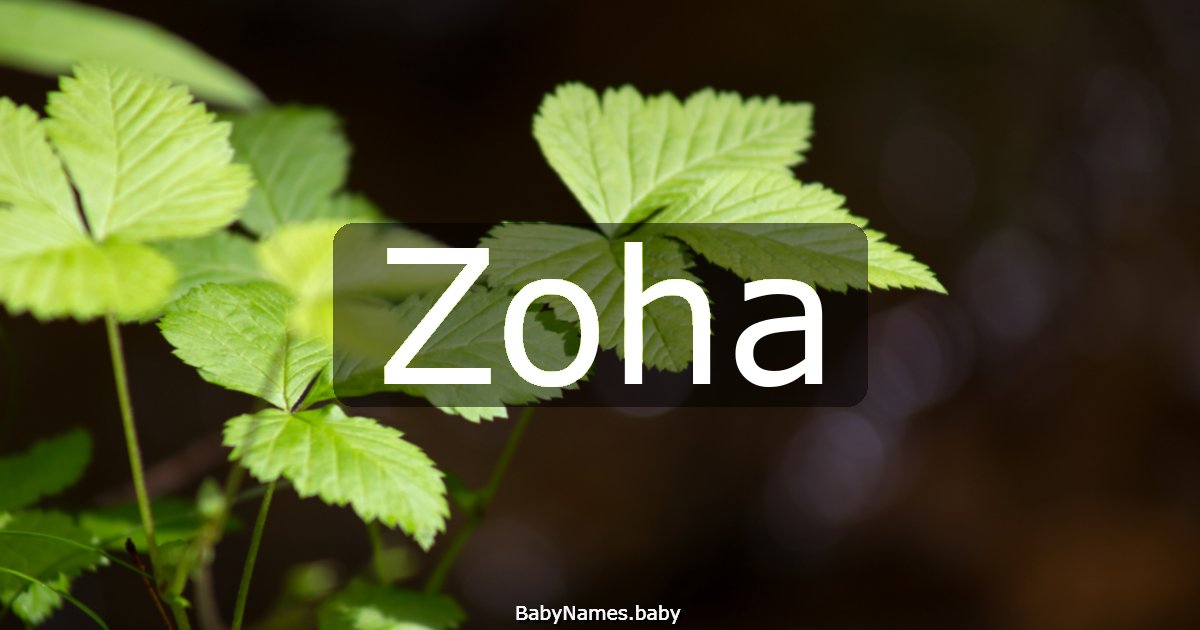Zoha