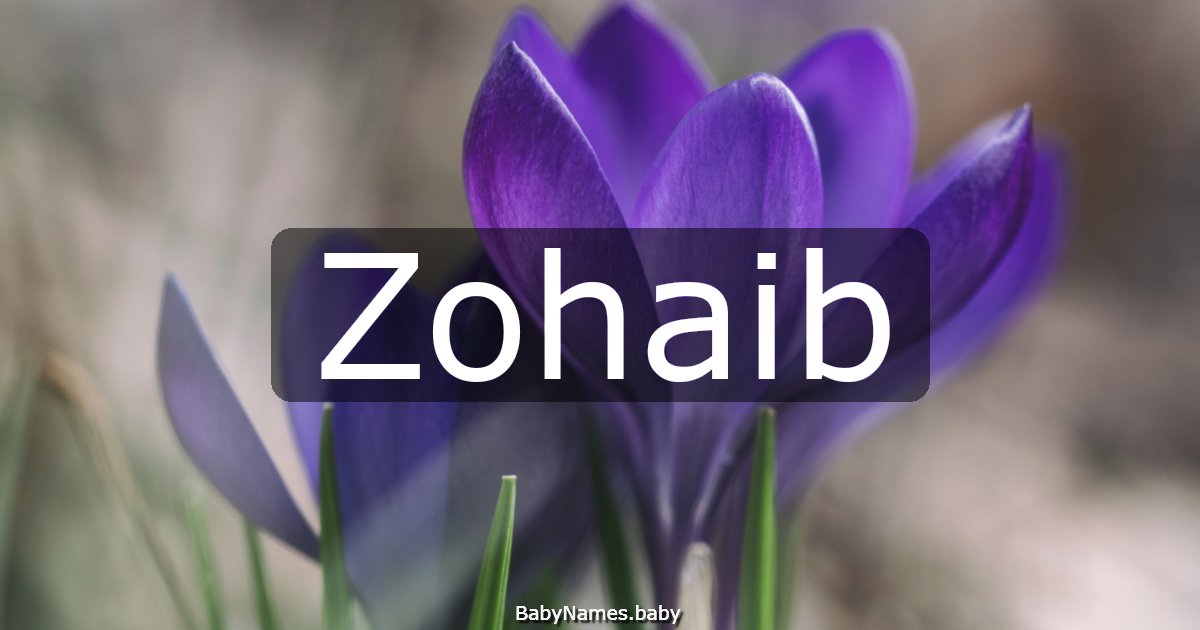 Zohaib