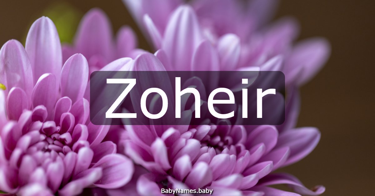 Zoheir