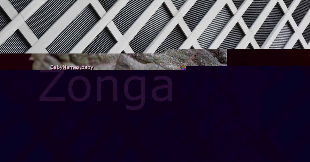 Zonga