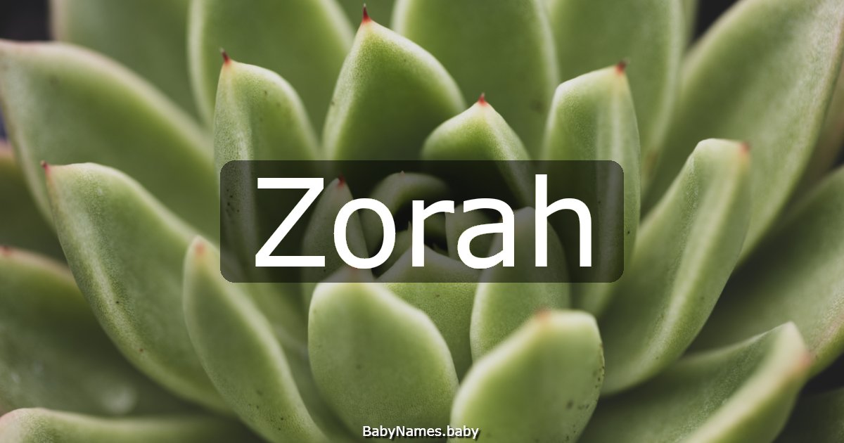 Zorah