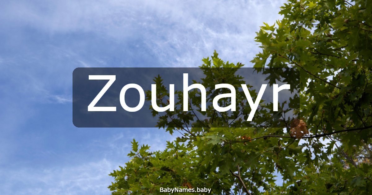 Zouhayr